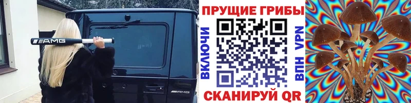 Купить  Себеж  Псилоцибиновые грибы GOLDEN TEACHER 